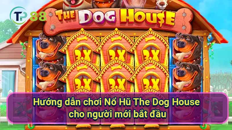 Nổ Hũ The Dog House: Chiến Thuật & Bí Quyết Thắng Lớn 3 huong-dan-choi-no-hu-the-dog-house-cho-nguoi-moi-bat-dau