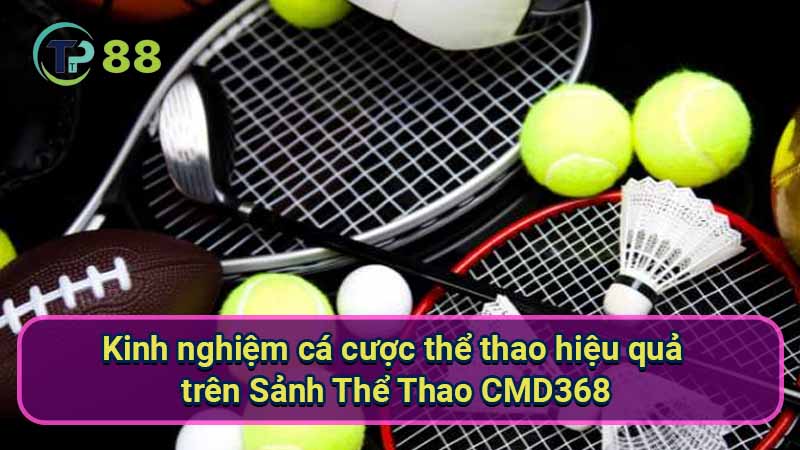 Sảnh Thể Thao CMD368: Kinh Nghiệm Cá Cược Hiệu Quả 3 kinh-nghiem-ca-cuoc-the-thao-hieu-qua-tren-sanh-the-thao-cmd368