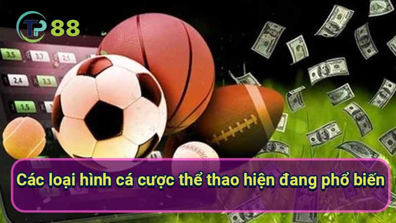 Cá Cược Thể Thao: Hướng Dẫn Chi Tiết Từ A Đến Z 3 cac-loai-hinh-ca-cuoc-the-thao-hien-dang-pho-bien